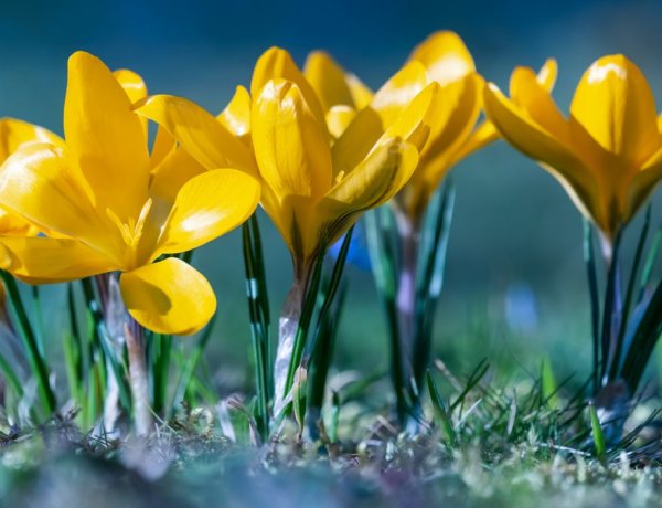 Többórás napsütéssel búcsúzik a hét