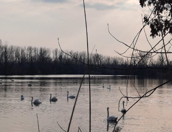 Csak a felhőkön átszűrődő napsugarakat élvezhetjük ma