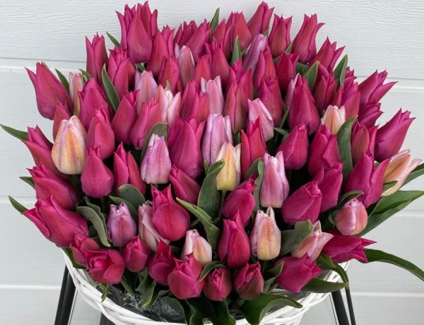 A tervek szerint idén tulipánszüret is lesz A Kert-ben!