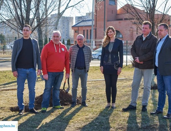 Faültetés – Gömbjuharok kerültek földbe Örökösföldön