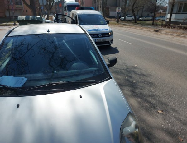 Ráesett egy száraz faág egy autóra a Vasvári Pál utcán