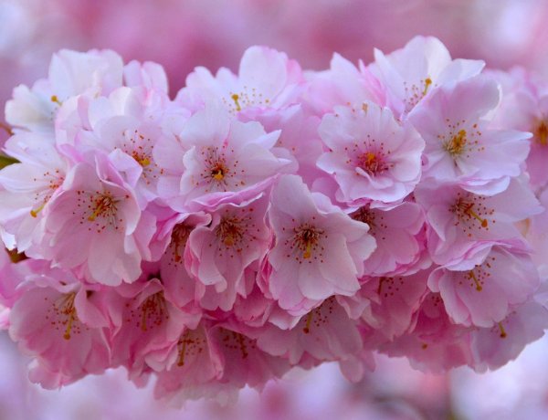 Egy kis ízelítőt kapunk a nyárból