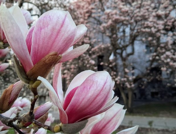 Délelőtt még élvezhetjük a zavartalan napsütést