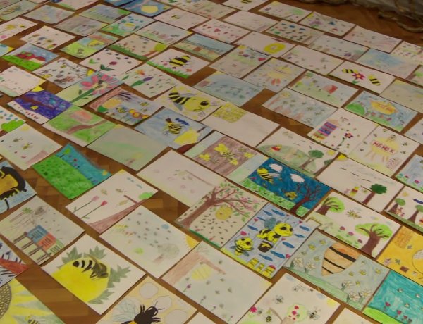 50 méhes rajz a Váciban – A kulturális központban mutatták meg a rajzpályázat legjobb alkotásait