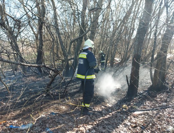 A Belső körút környékén, egy fás részen lángok keletkeztek hétfőn délután