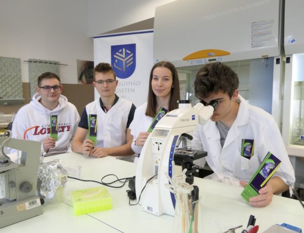 Természettudományokat népszerűsítő projekt zárul Nyíregyházán