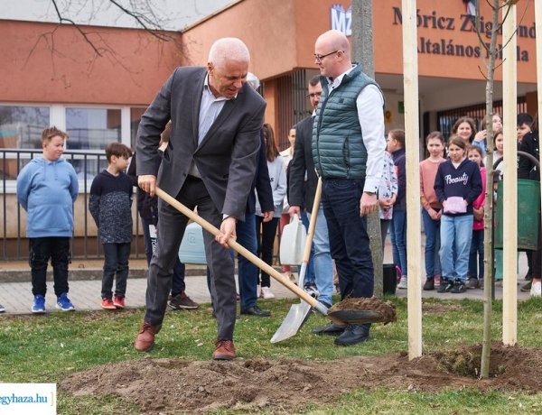 Faültetés a Móricz iskolában – Újabb 50 fát ültettek el Nyíregyházán a tiszta levegőért