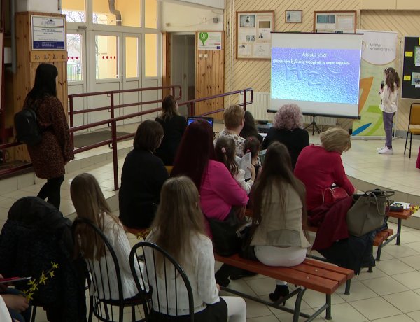 Pályázat vizeink védelmére – Összesen 260 óvodás és általános iskolás jelentkezett 