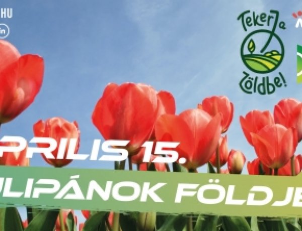 A tulipánok földjén – Április 15-én újra túrát szervez a Zöld Kerék Alapítvány