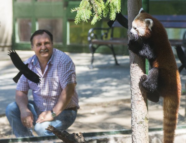 Állatpark: kezdődik a jubileumi ünnepségsorozat 