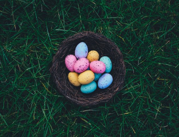 Fessünk tojást természetes alapanyagokkal