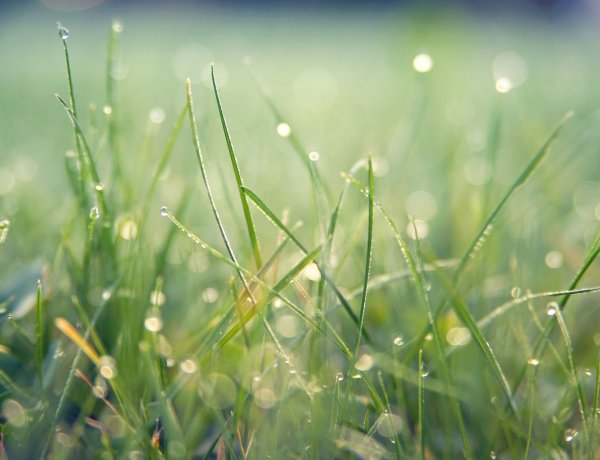 Eleredhet az eső az ország több pontján is