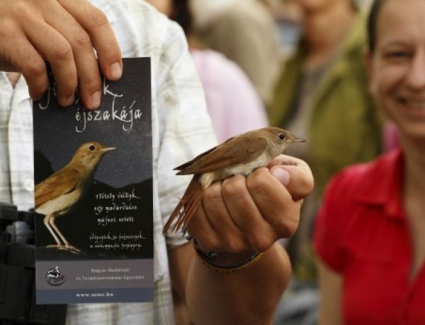 Hazatérnek Afrikából a fülemülék – Két éves szünet után ismét útjára indul a „Fülemülék éjszakája" országos rendezvénysorozat