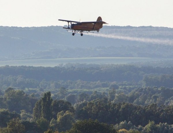 Mutatjuk, hol kezdődik az országos szúnyoggyérítési program