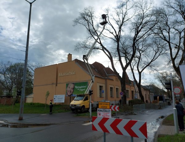 Favágási, faápolási munkálatokat végeztek a Szent István utcán