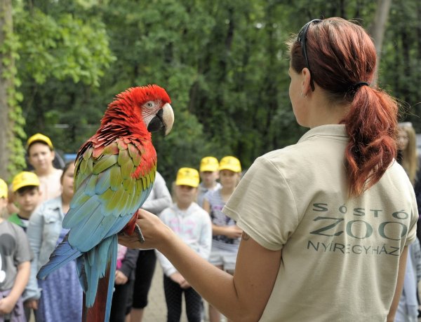 Idén is lesz ZooSuli a Nyíregyházi Állatparkban!