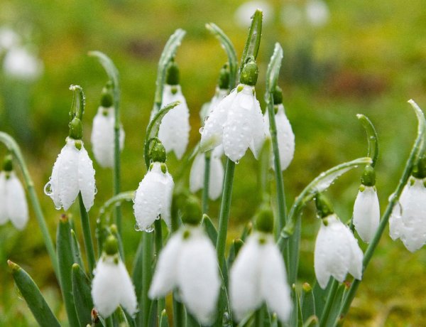 Záporok öntözik a fél országot