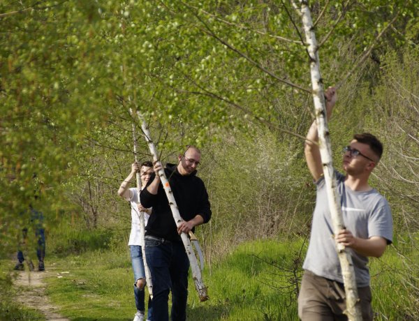 Népszerű volt a „Szedd magad a Májusfát!” program 