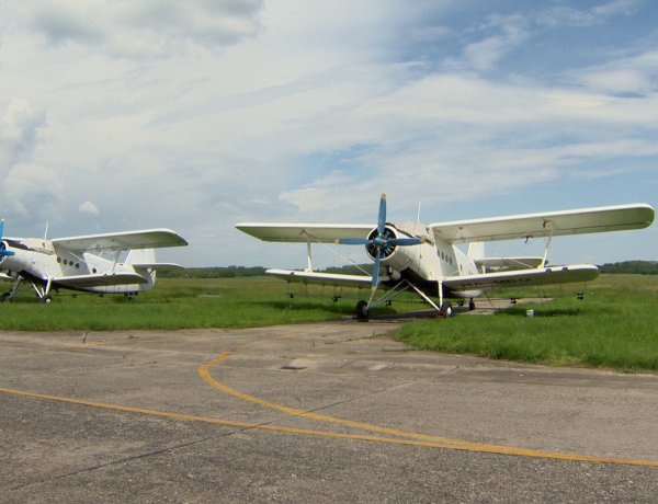 Szúnyoglárva-gyérítés lesz pénteken – Légi és földi irtást végez a Tréner Kft. május 6-án