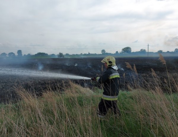 Két hektáron égett az aljnövényzet Kemecse külterületén