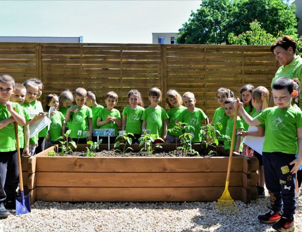 Óvodakert-átadó ünnepséget rendeztek a Városmajor úti óvodában a Madarak és fák napja alkalmából