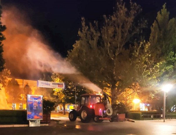 Nyíregyháza közterületein található növényállomány növényvédelmi feladatai zajlanak a hetekben városszerte