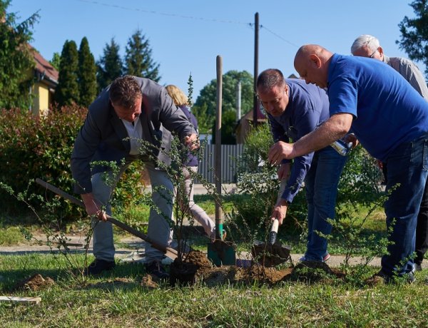 170 cserjét ültettek Borbányán – Gyöngyvessző díszíti a kerékpárút egy hosszabb szakaszát