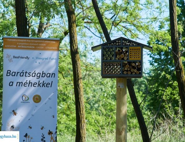 Rovarházak Nyíregyházán – Újabb kezdeményezés a BeeFriendly pályázat keretében