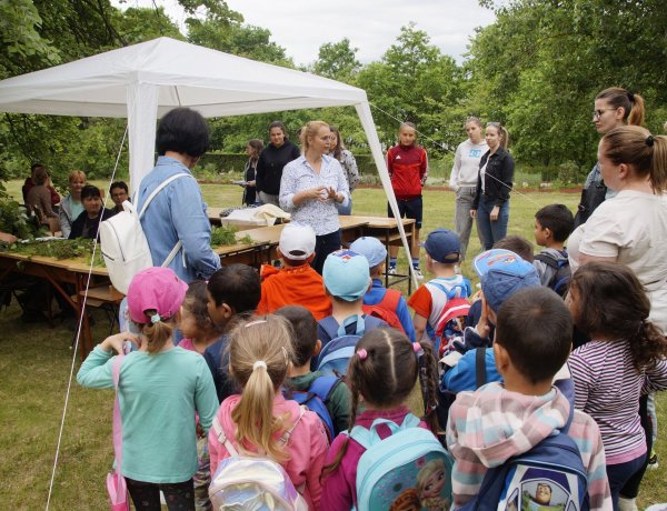 Madarakról és fákról a botanikus kertben