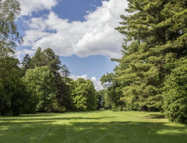 Egyre népszerűbbek az arborétumok és botanikus kertek