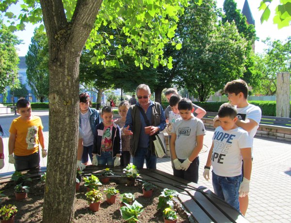 NYÍRVV: diákokkal közös virágültetés a belvárosban 