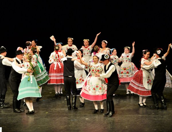 Megtartották a Pulyabált