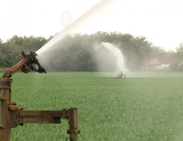 Aszály a Nyírségben – Már az év eleje is csapadékmentesen indult 2022-ben