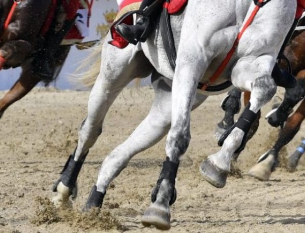 Nemzeti Vágta: Idén 15. alkalommal rendezik meg a határokon átívelő lovasversenyt