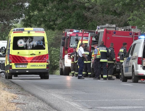 Fának csapódott egy autómentő hétfő délután a 41-es számú főúton Besenyődnél,  egy ember életét vesztette
