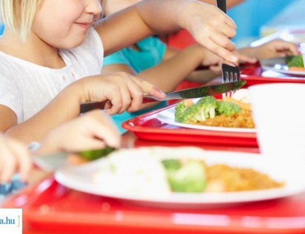 Tájékoztatás a hátrányos, halmozottan hátrányos helyzetű gyermekek nyári gyermekétkeztetésének igénybevételéről