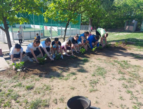 A Zöld Akciócsoport megmozdulása a Méhek világnapja alkalmából