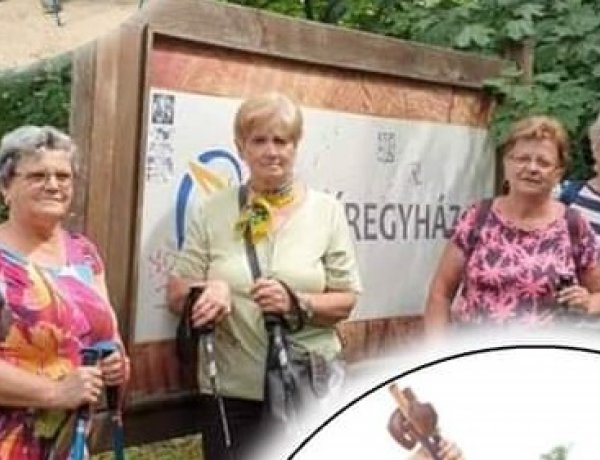 Építsünk közösséget! - Nordic walking túra a Sóstói tó körül 