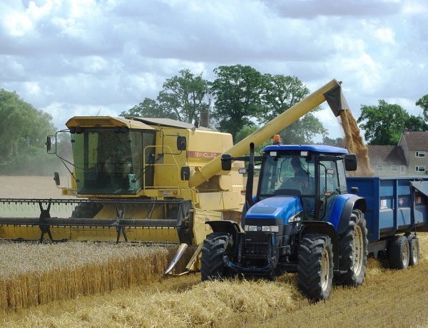 Biztosított a magyarországi gabonaellátás