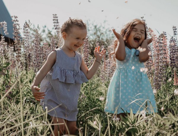 Fontos információk a nyári napközis táborokkal kapcsolatban