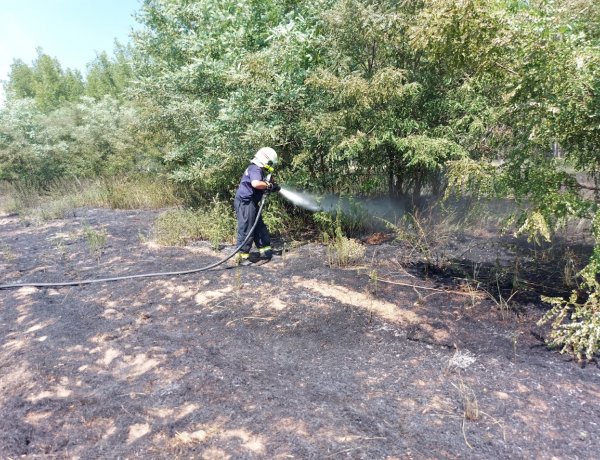 Egy hektáron égett a száraz növényzet Nyírbogdány külterületén