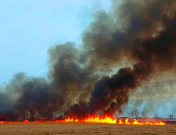 Kiterjesztették a tűzgyújtási tilalmat az egész országra