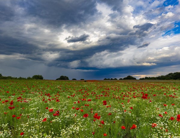 Ma sem ússzuk meg szárazon, többfelé is záporokra kell számítani