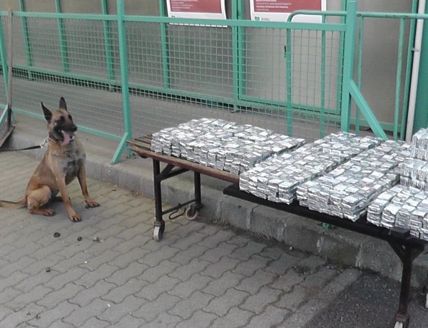 Donna másfél milliós fogása