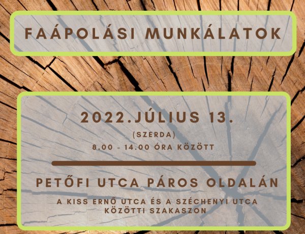 A NYÍRVV munkatársai július 13-án faápolási munkálatokat végeznek városunkban