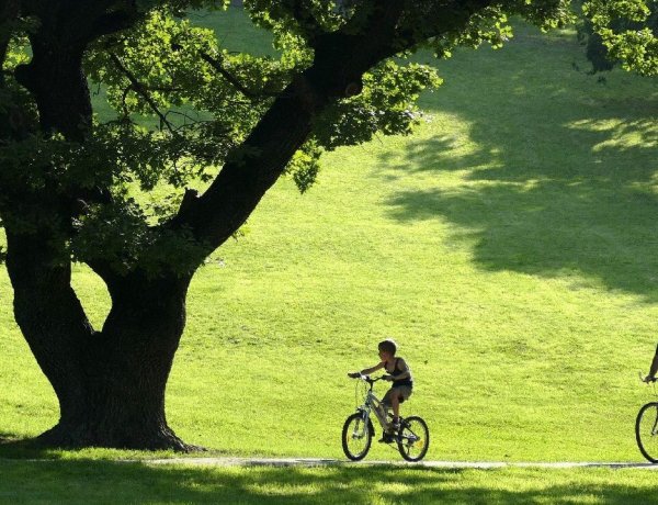 Ennél már csak melegebb lesz a héten