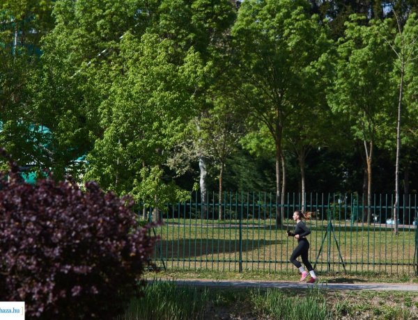 Nyíregyháza sportos város