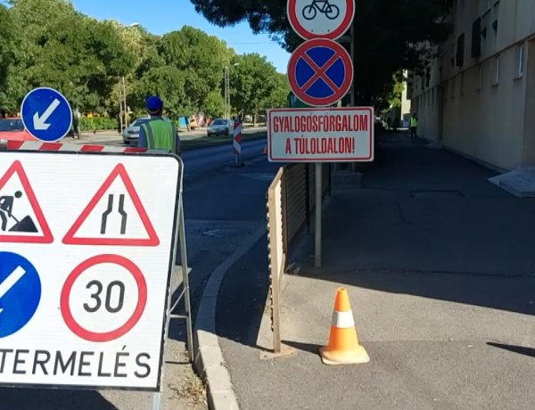 Faápolási, gallyazási munkálatokat végeznek a NYÍRVV szakemberei a Petőfi utcánál