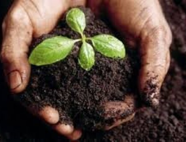  Szalmáért cserébe trágyát ad a Nyírségvíz Zrt.!