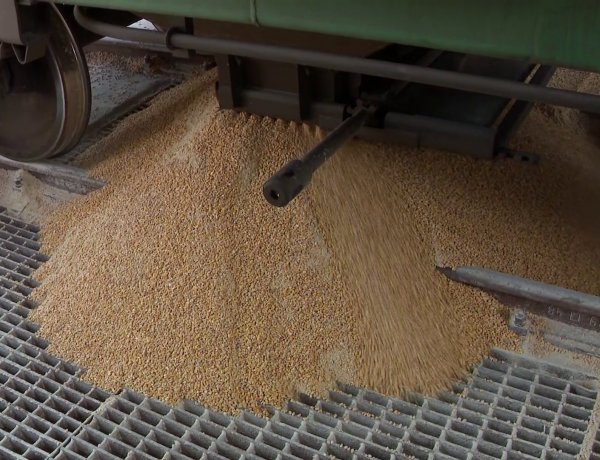 Magyarország segít az Ukrajnában rekedt gabona szállításában